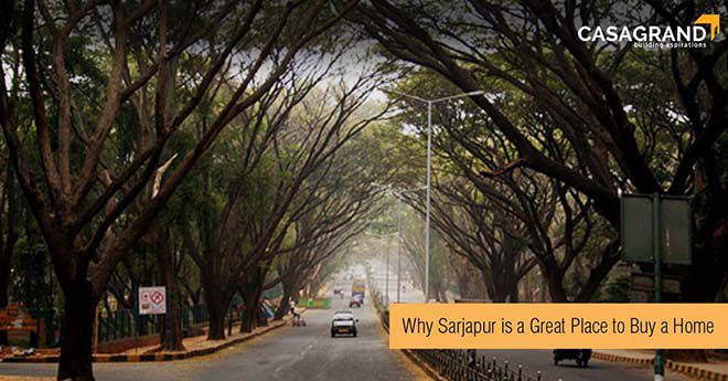 Why Sarjapur is a great place to buy a home