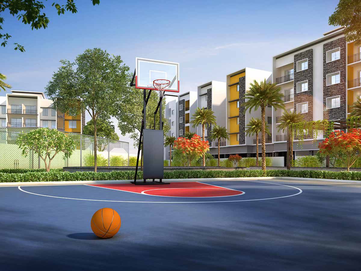 Half Basketball Court 