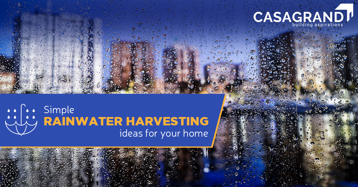 Simple rainwater harvesting ideas for your home.