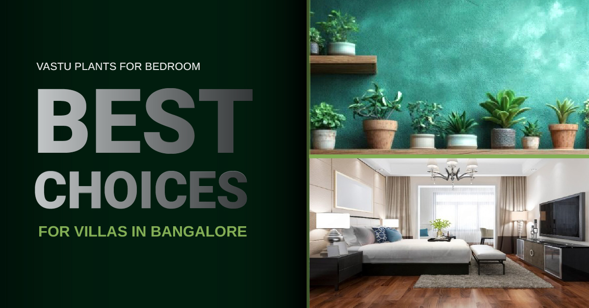Vastu Plants for Bedroom: Best Choices for Villas in Bangalore