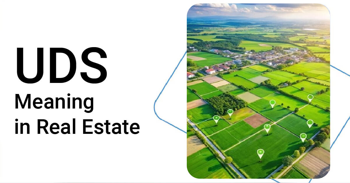 UDS in Real Estate Explained: Why it Matters When Buying an Apartment